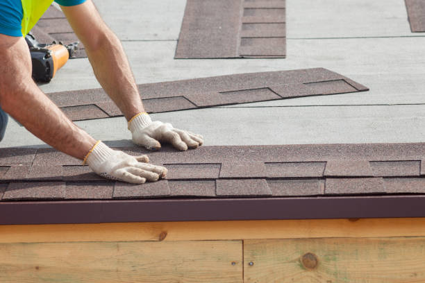 Best Roof Maintenance and Cleaning  in Edgewater, NJ
